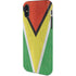 Guyana Flag Distressed iPhone X Pro Case